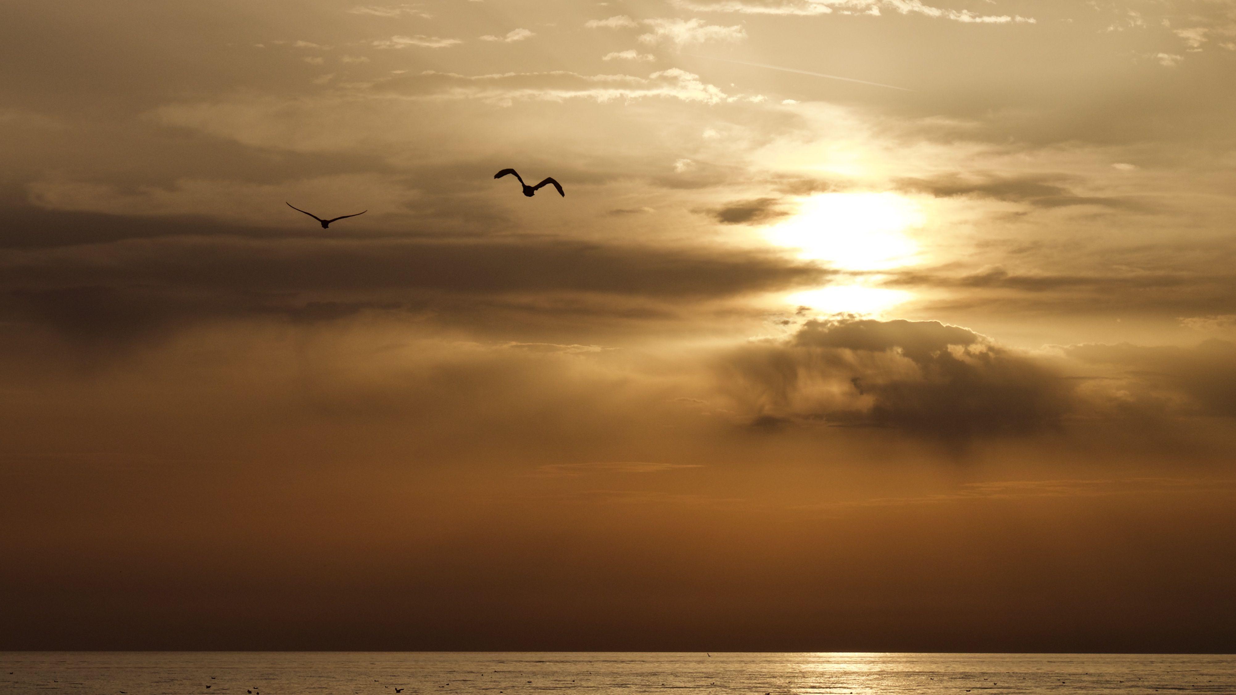 De mare a mare coaching